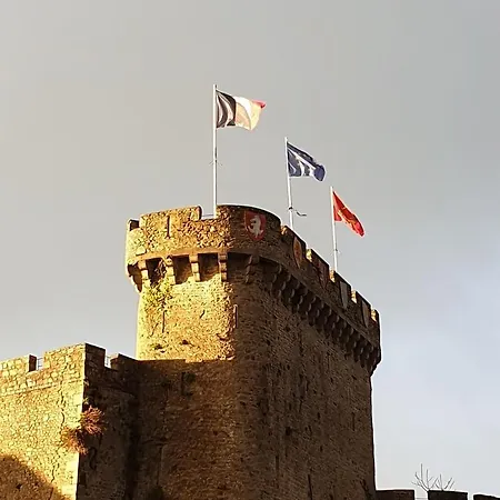 L'abrincat'studio, Centre Entre Donjon Et Vue Mont 公寓 *