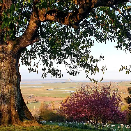 L'abrincat'studio, Centre Entre Donjon Et Vue Mont آفروشْ